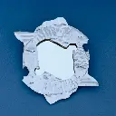 Mirror Fish Mini by Ana Regal