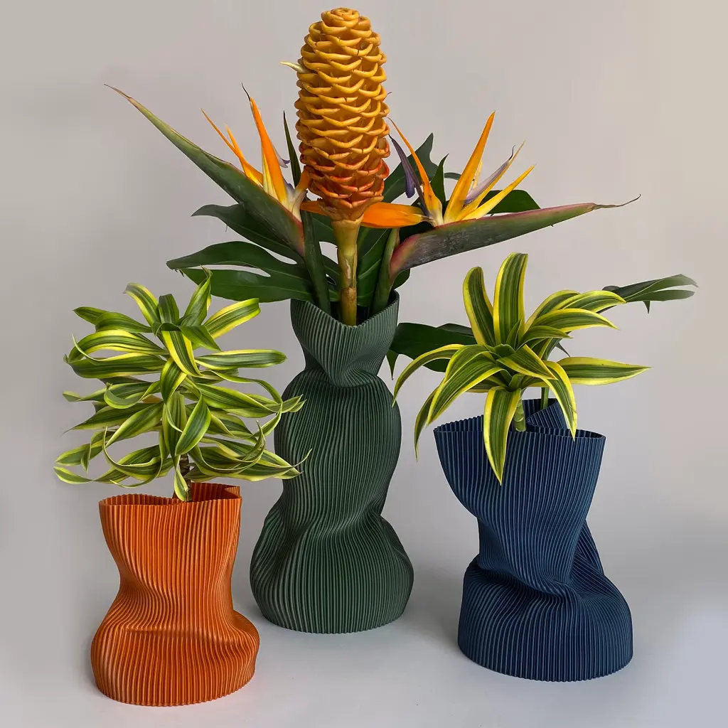 IMG_7615 QUADRADA.webp