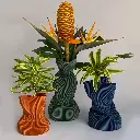 IMG_7615 QUADRADA.webp