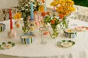 NS_40508.webp