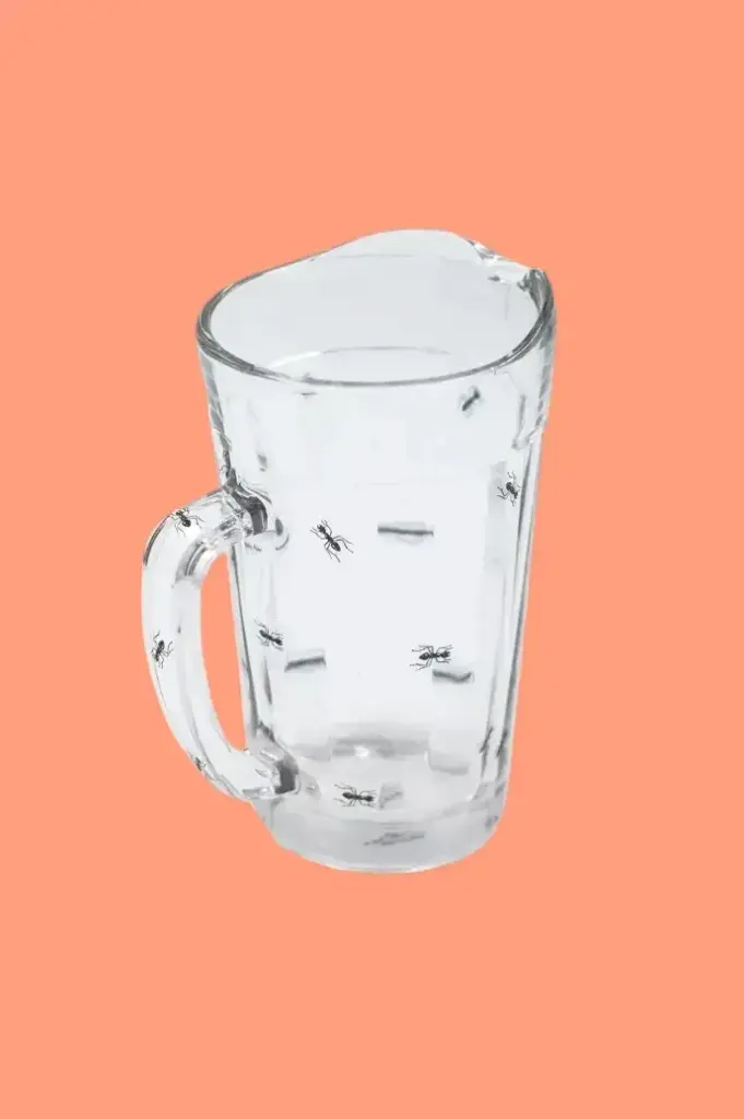 Jug Ant by Greghi