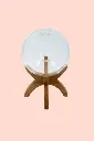 Ornament Bubble Vase