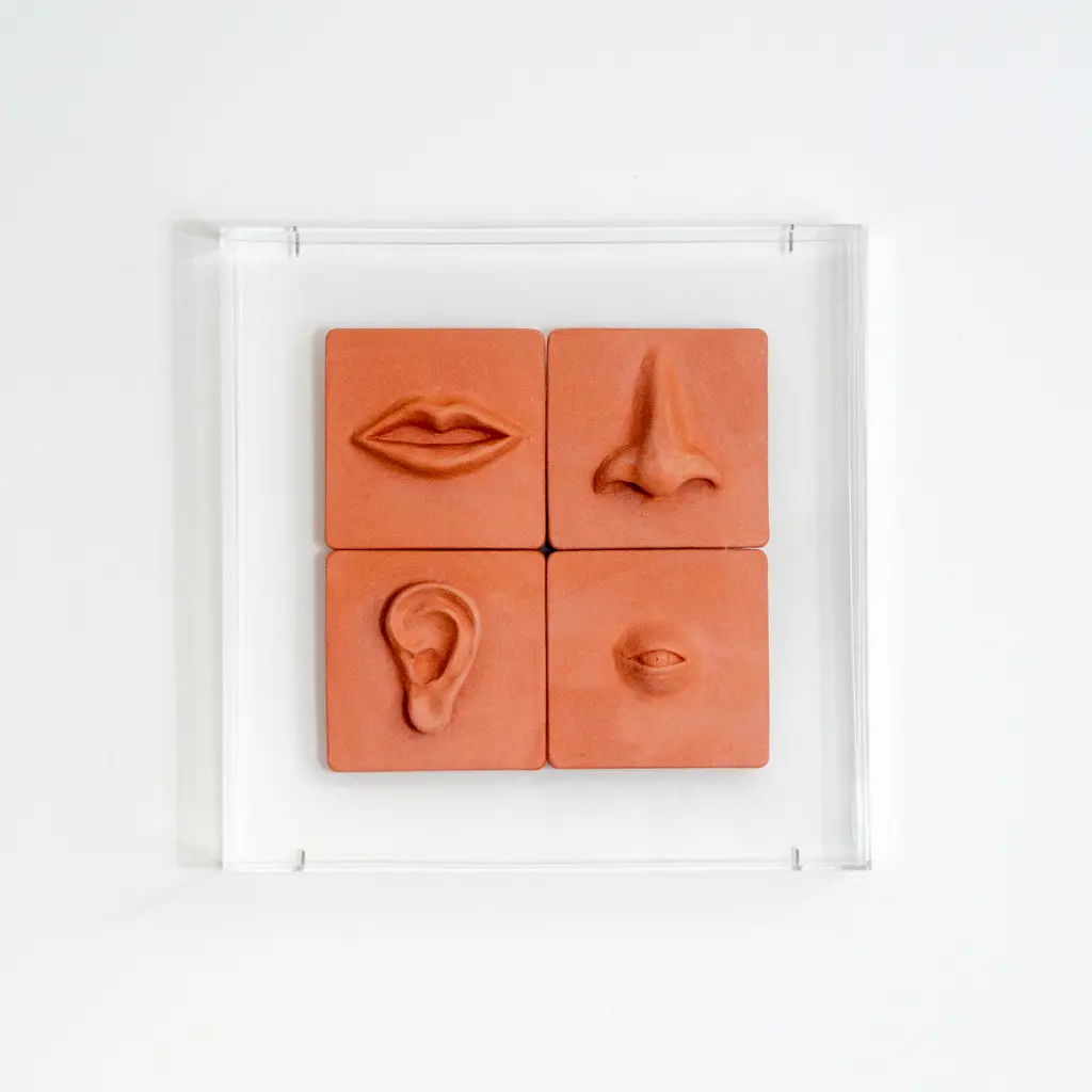 DSC_0345_Tratadas (3).webp