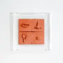 DSC_0345_Tratadas (3).webp