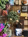 PEDRO BRAGA (2).webp