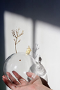 IMG_0514.webp