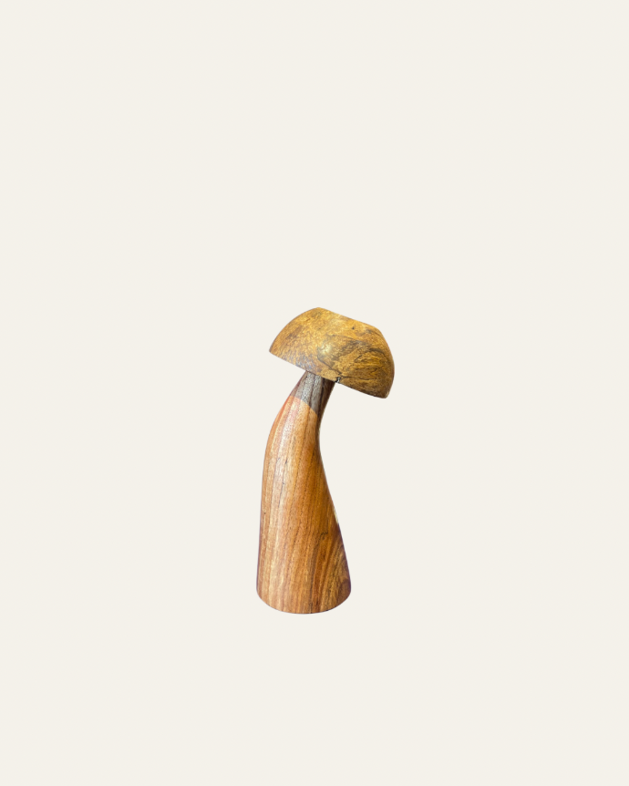 Mushroom B Small by Oca