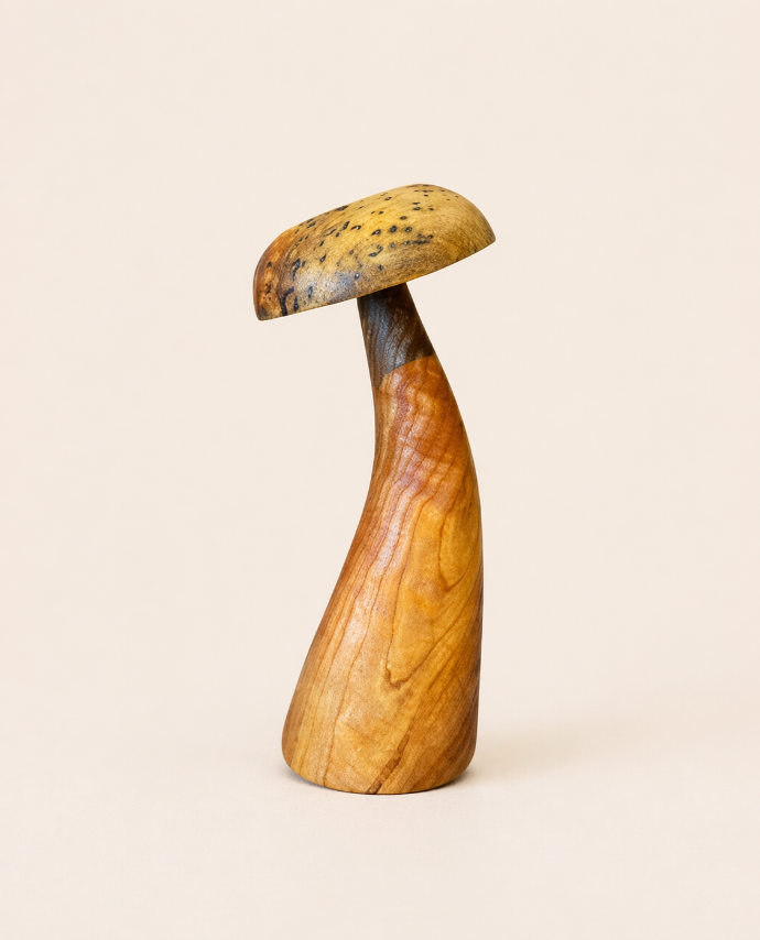 Mushroom B Medium by OCa