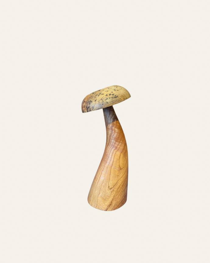 Mushroom B Medium by OCa