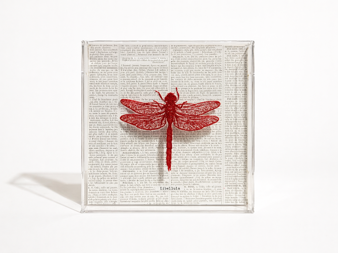Dragonfly Embroidery by Mercatto Casa