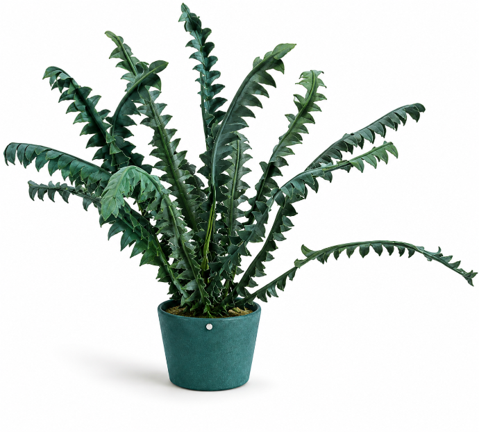 Sculpture Green Fern by Vanessa Lazzari