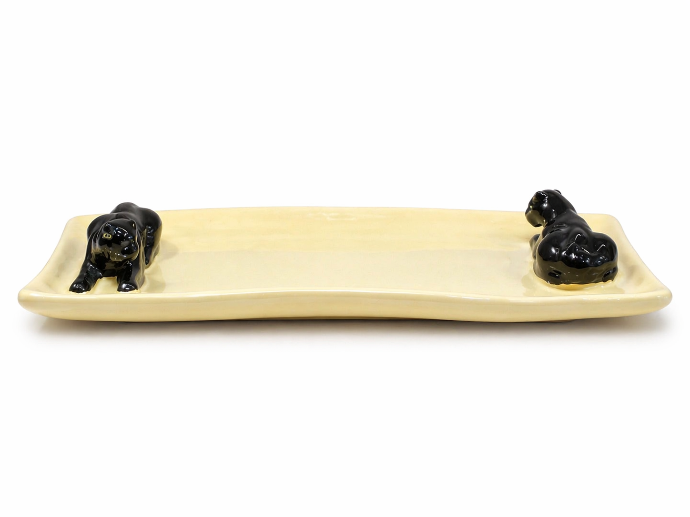 Tray Dani enne Black Panter