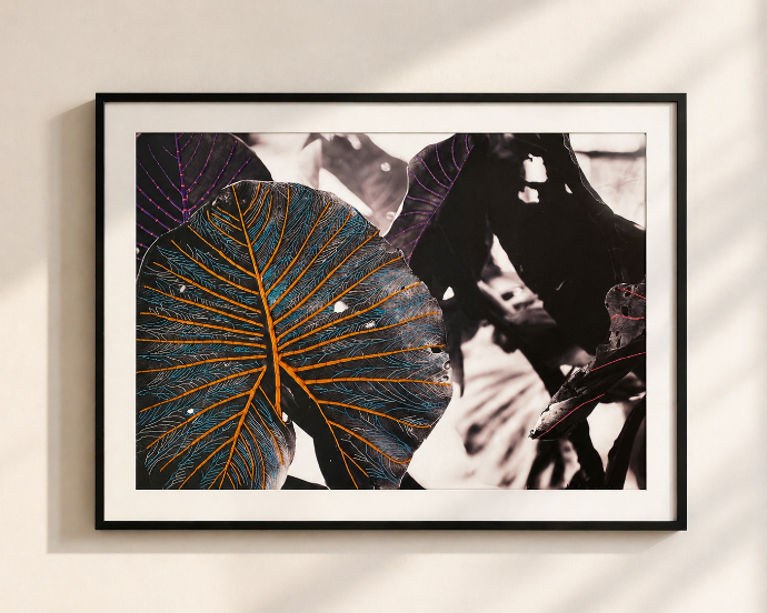 Photo Amazonia Forest by Livia Rocha