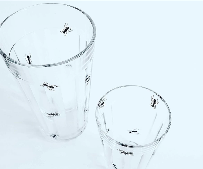 Glass 450ml Ants by Greghi set of 6