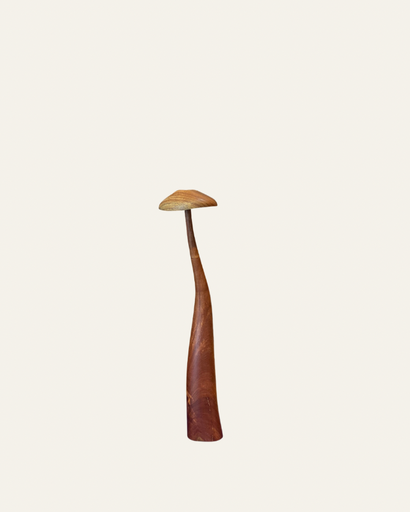 Mushroom A Medium by Oca