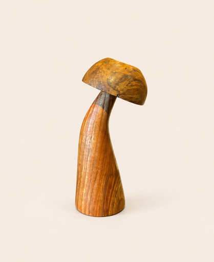 Mushroom B Small by Oca