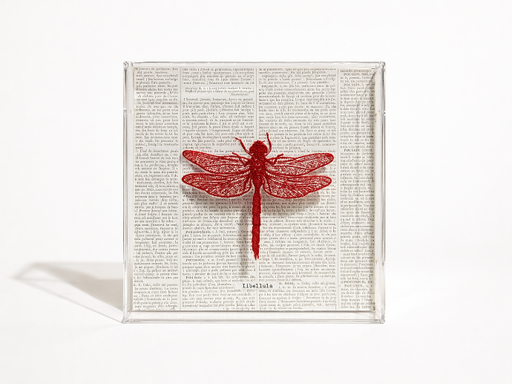 [mer0002] Dragonfly Embroidery by Mercatto Casa
