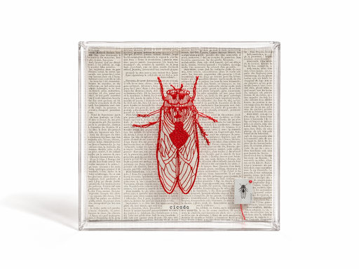 [mer0001] Cicada Embroidery by Mercatto Casa