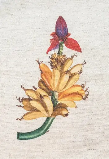Cushion Banana linen by Decortextil