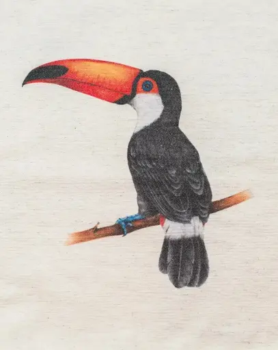 Cushion Toucan linen by Decortextil